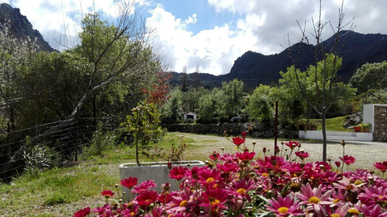 Casa Rural La Maquinilla Grazalema Exterior foto